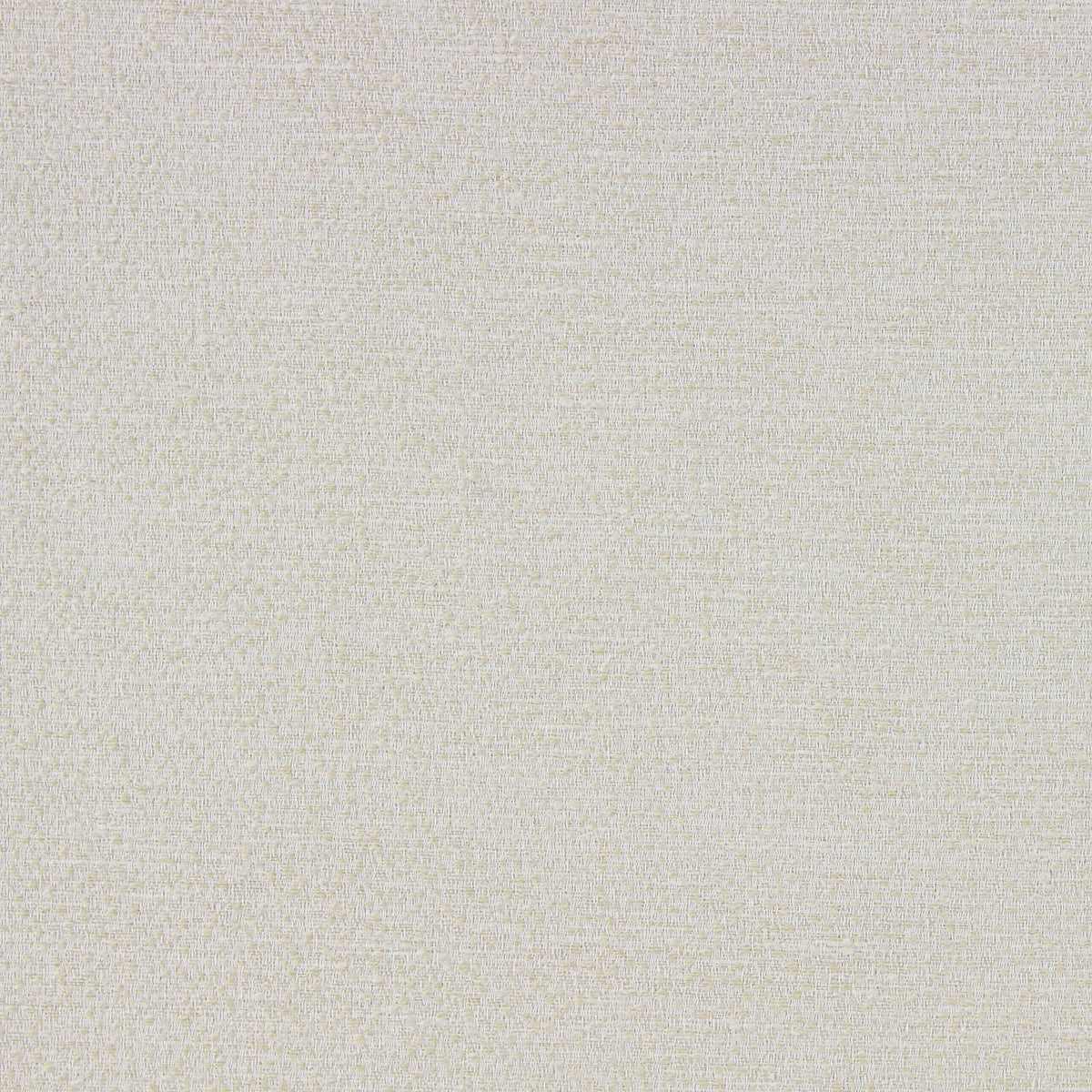 Arabis (Ri) - Ivory