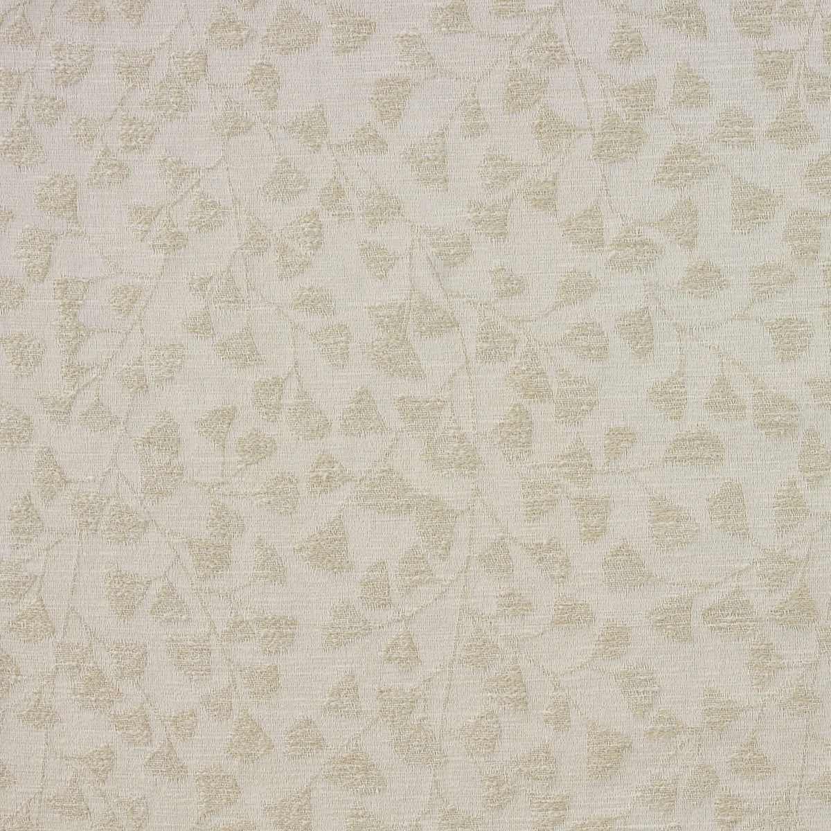 Schiller (Ri) - Canvas