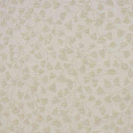 Schiller (Ri) - Canvas