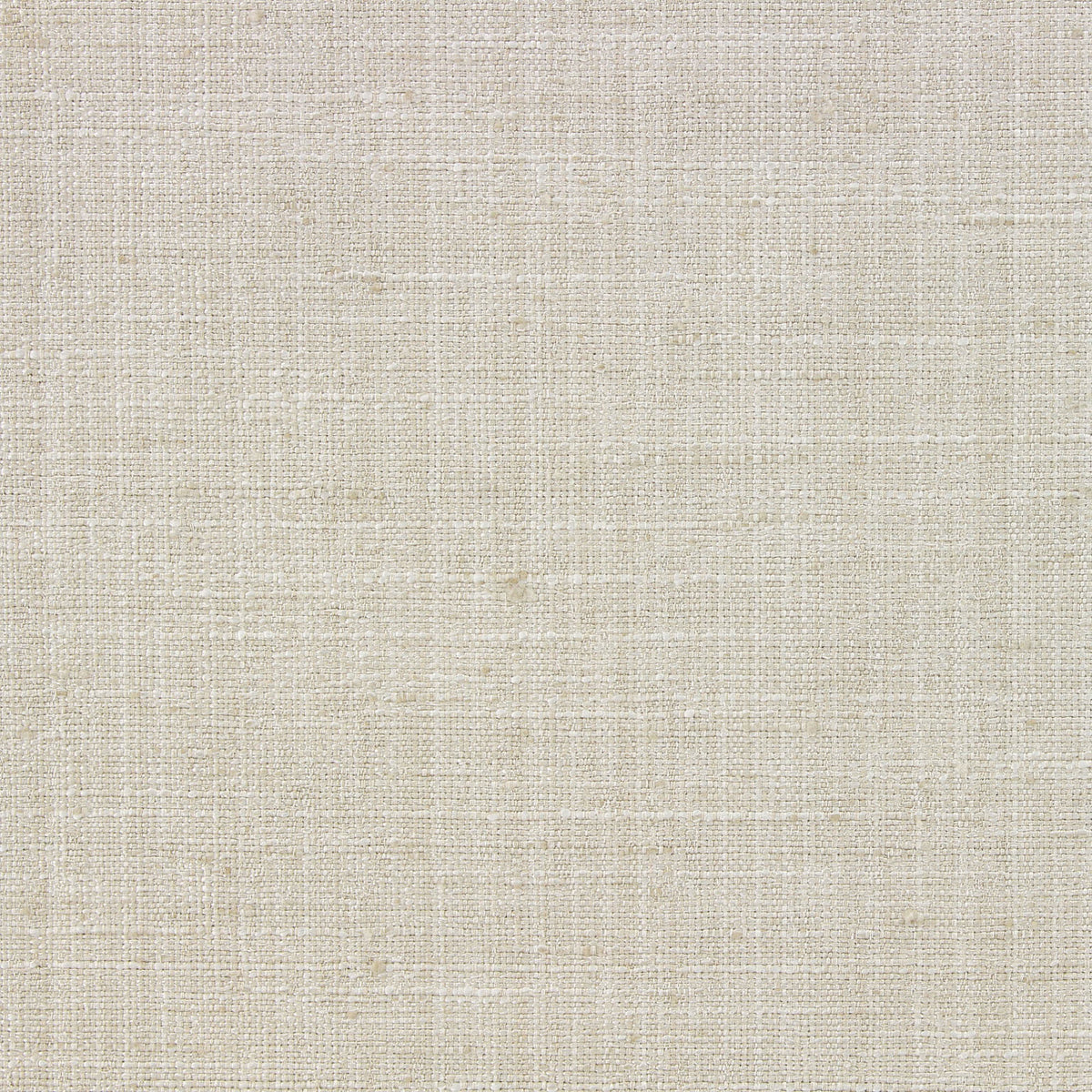 Steller (Ri) - Birch