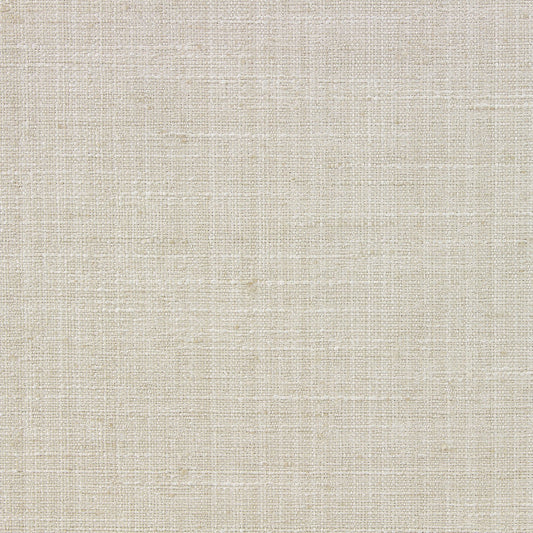 Steller (Ri) - Birch