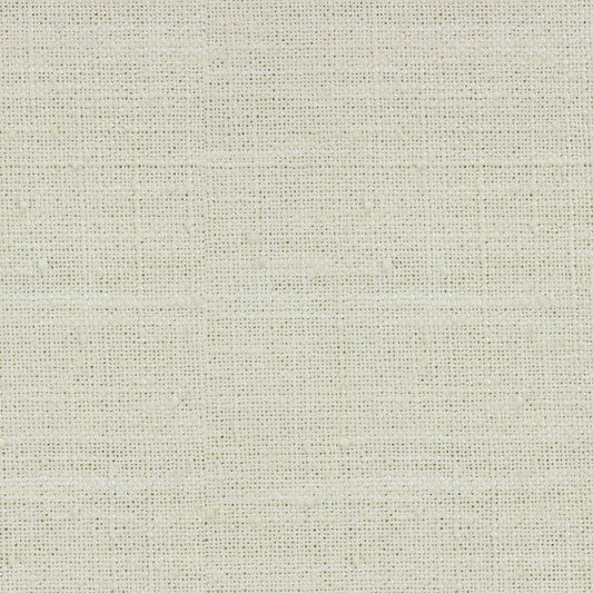 Warner (Ri) - Cream