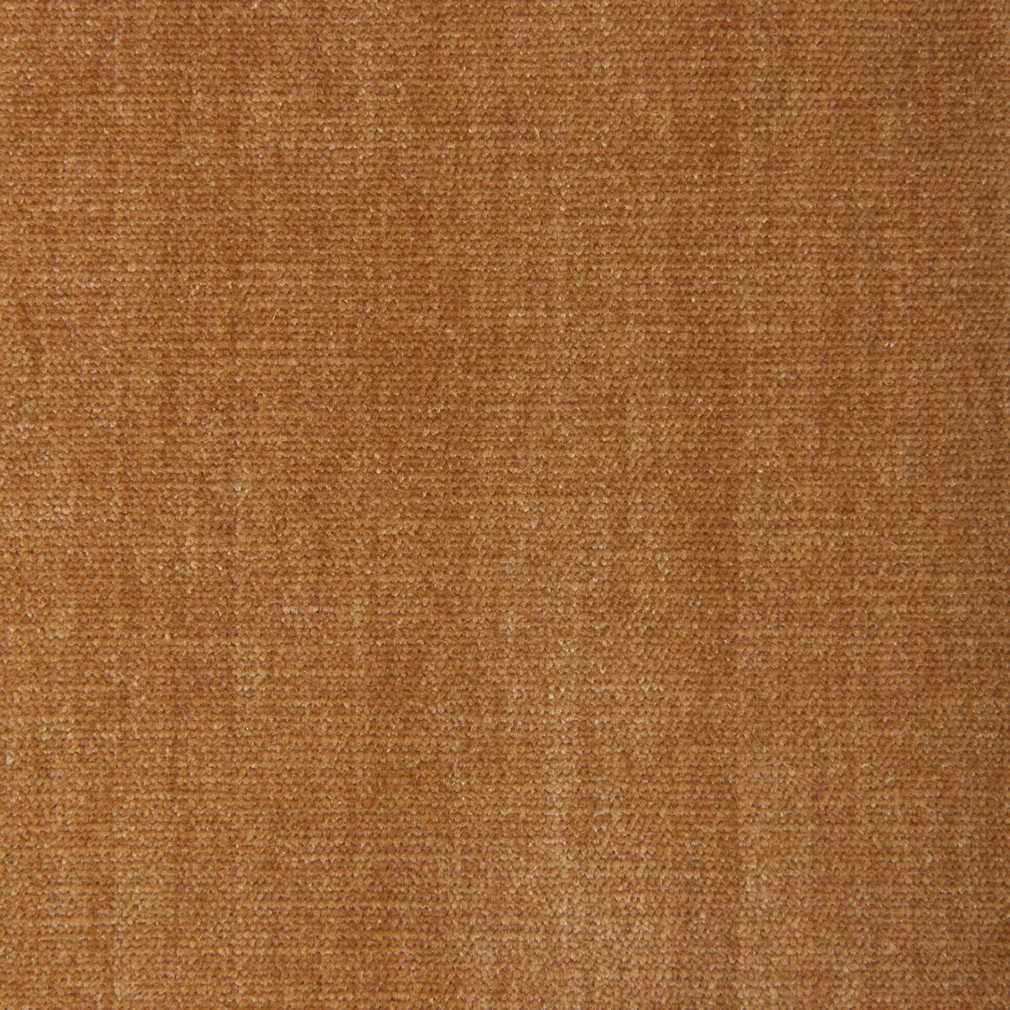 Alpaga (Kc) - Performance - 166 Straw