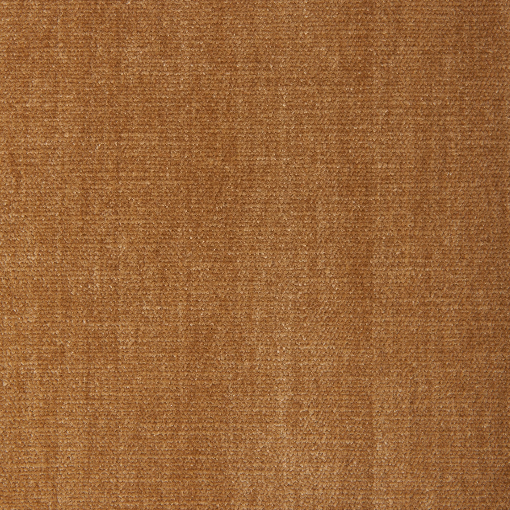 Alpaga (Kc) - Performance - 166 Straw