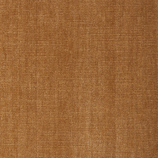 Alpaga (Kc) - Performance - 166 Straw