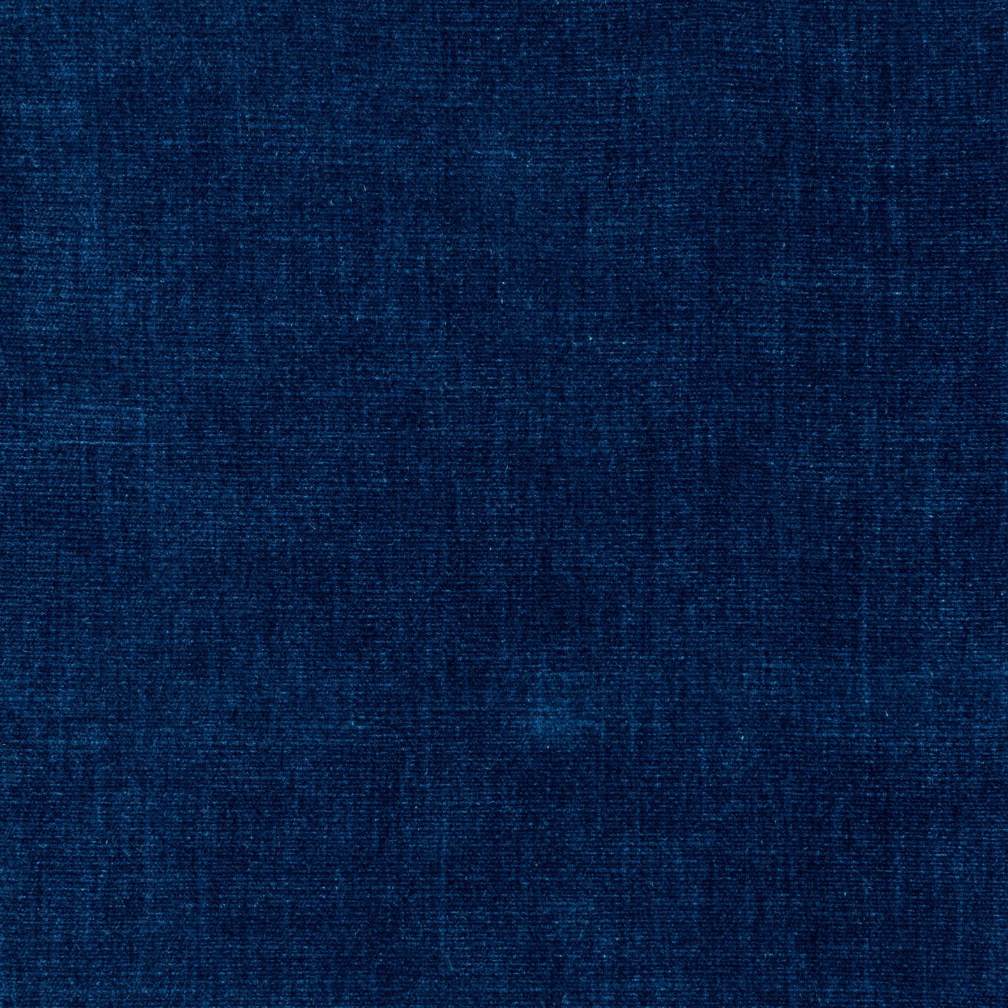 Alpaga (Kc) - Performance - 5 Galaxy Blue
