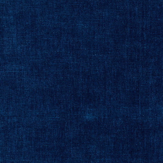 Alpaga (Kc) - Performance - 5 Galaxy Blue