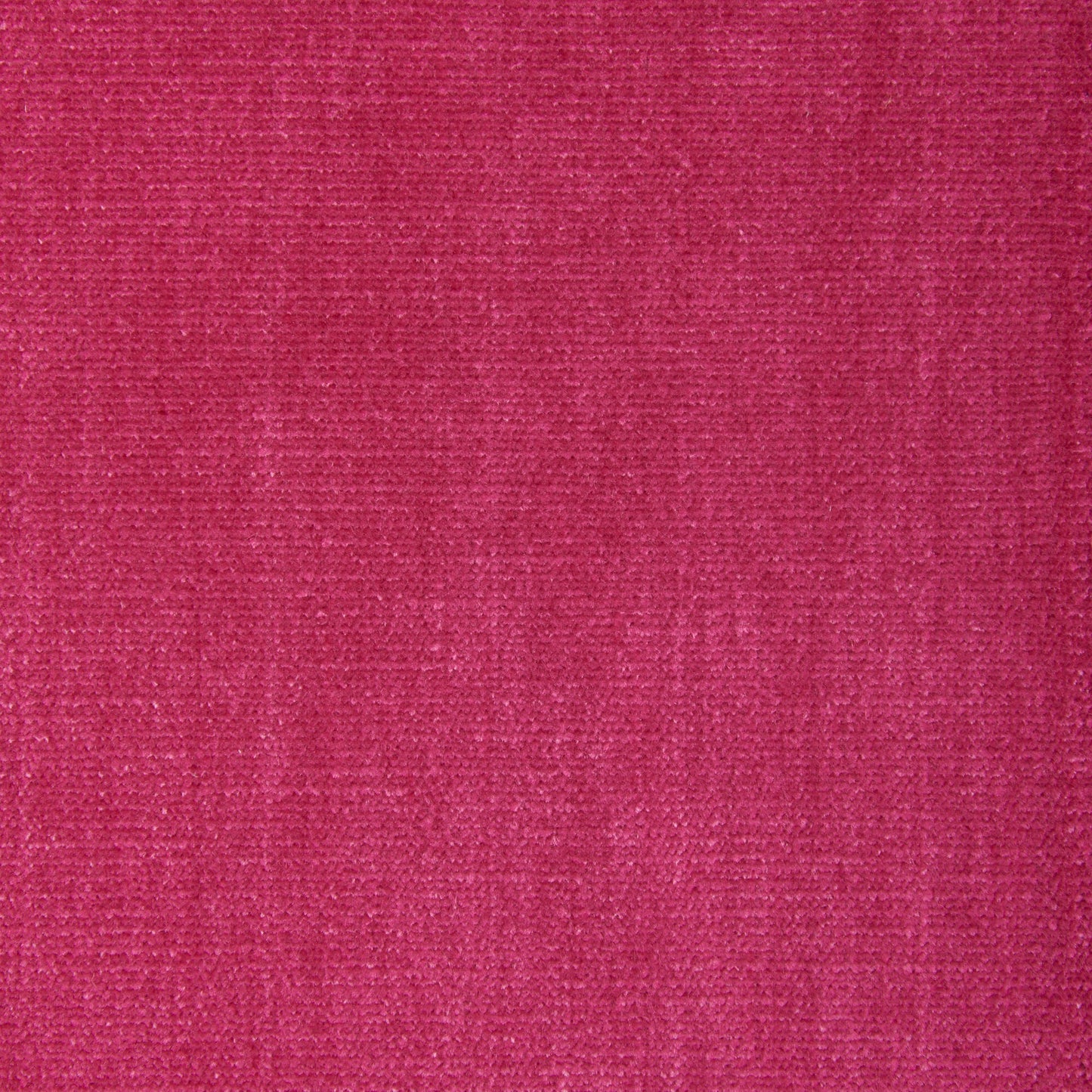Alpaga (Kc) - Performance - 77 Fuchsia