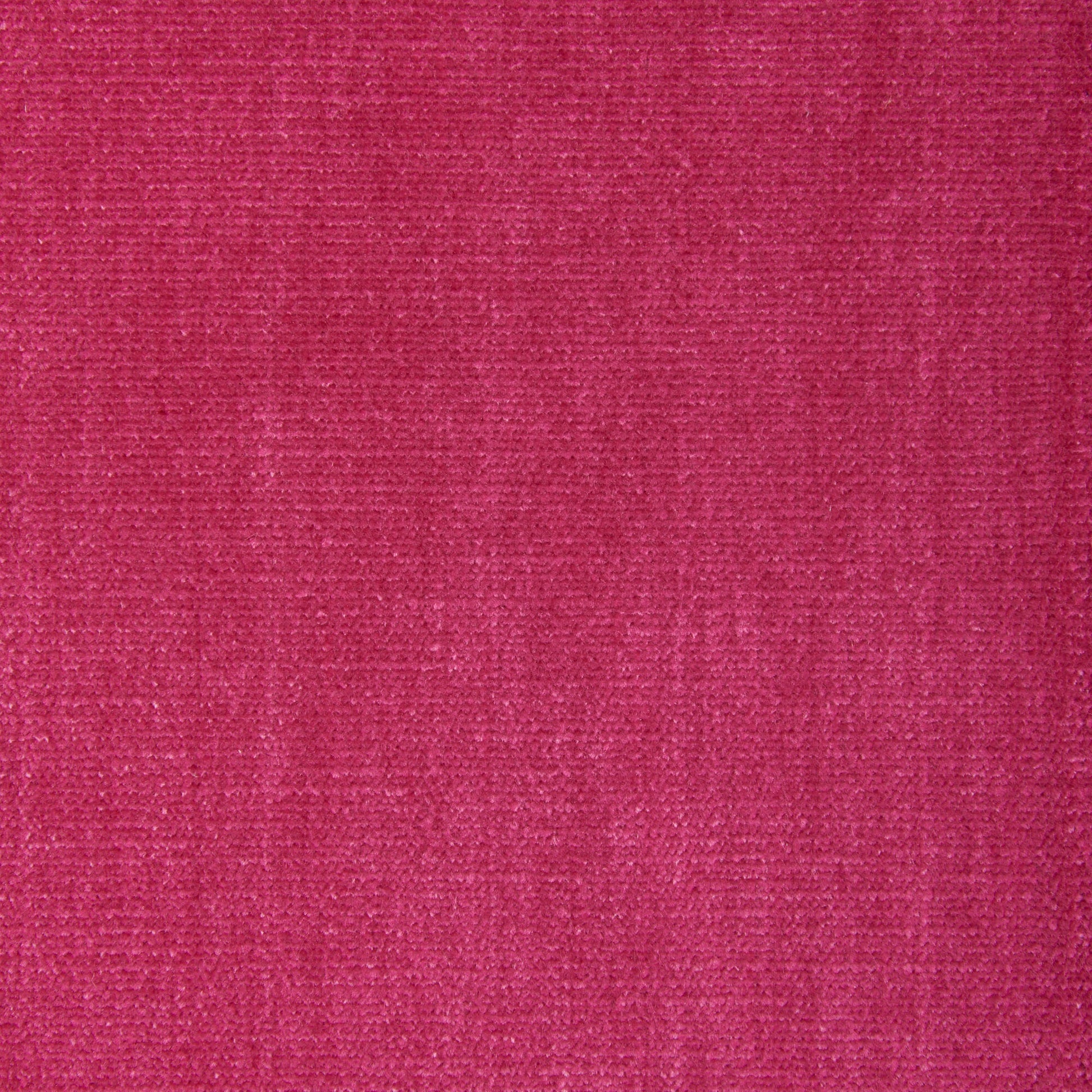 Alpaga (Kc) - Performance - 77 Fuchsia