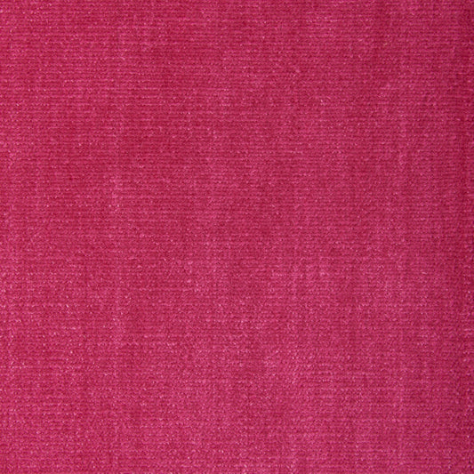 Alpaga (Kc) - Performance - 77 Fuchsia