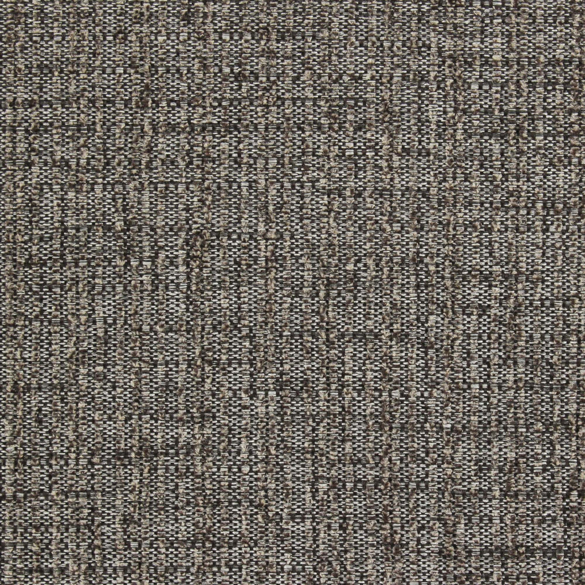 Belard Pfr (Ri) - Performance - Mocha