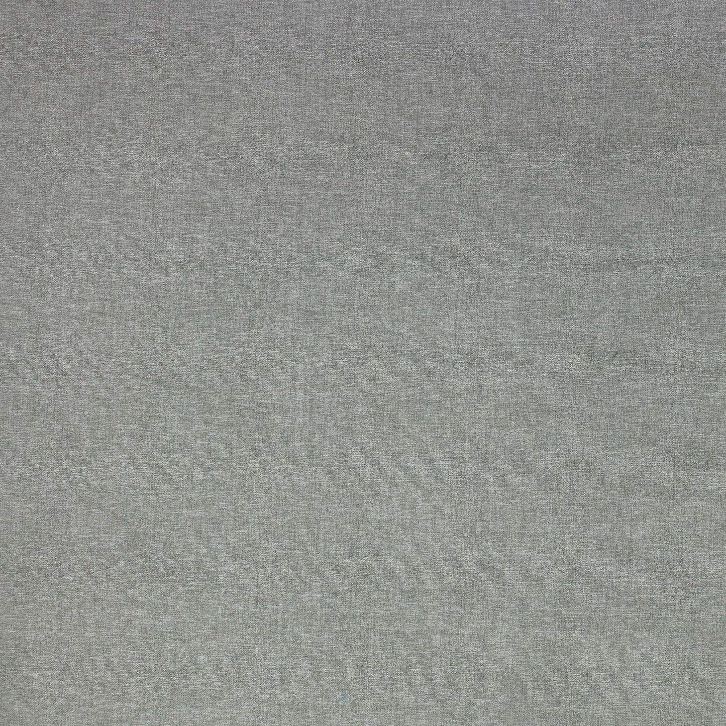 Canny Pfr (Ri) - Performance - Eucalyptus