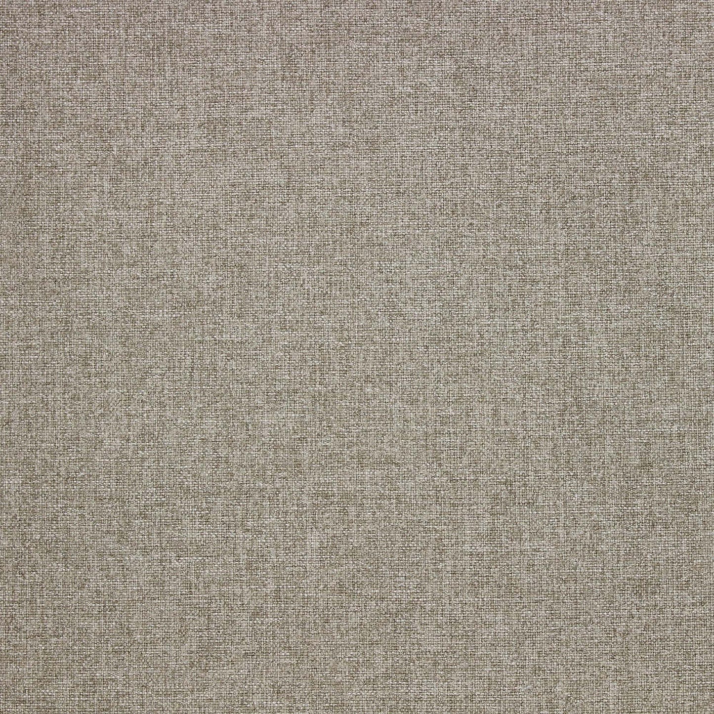 Canny Pfr (Ri) - Performance - Sand