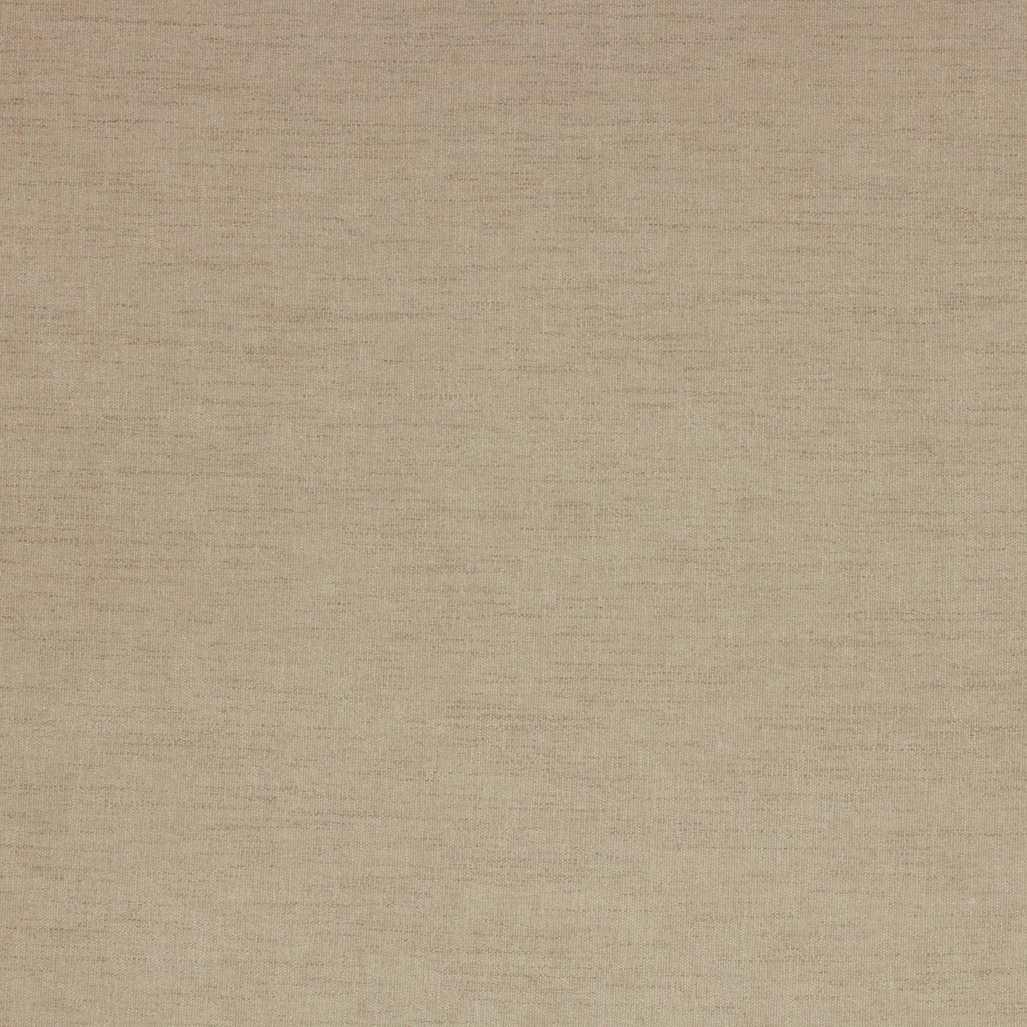 Nikoli Pfr (Ri) - Performance - Sand