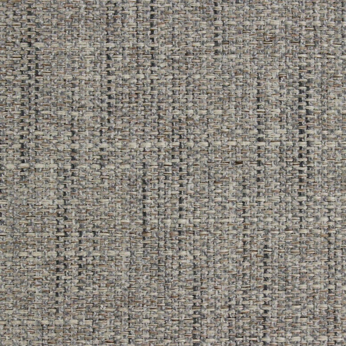 Rosaline Pfr (Ri) - Performance - Ash