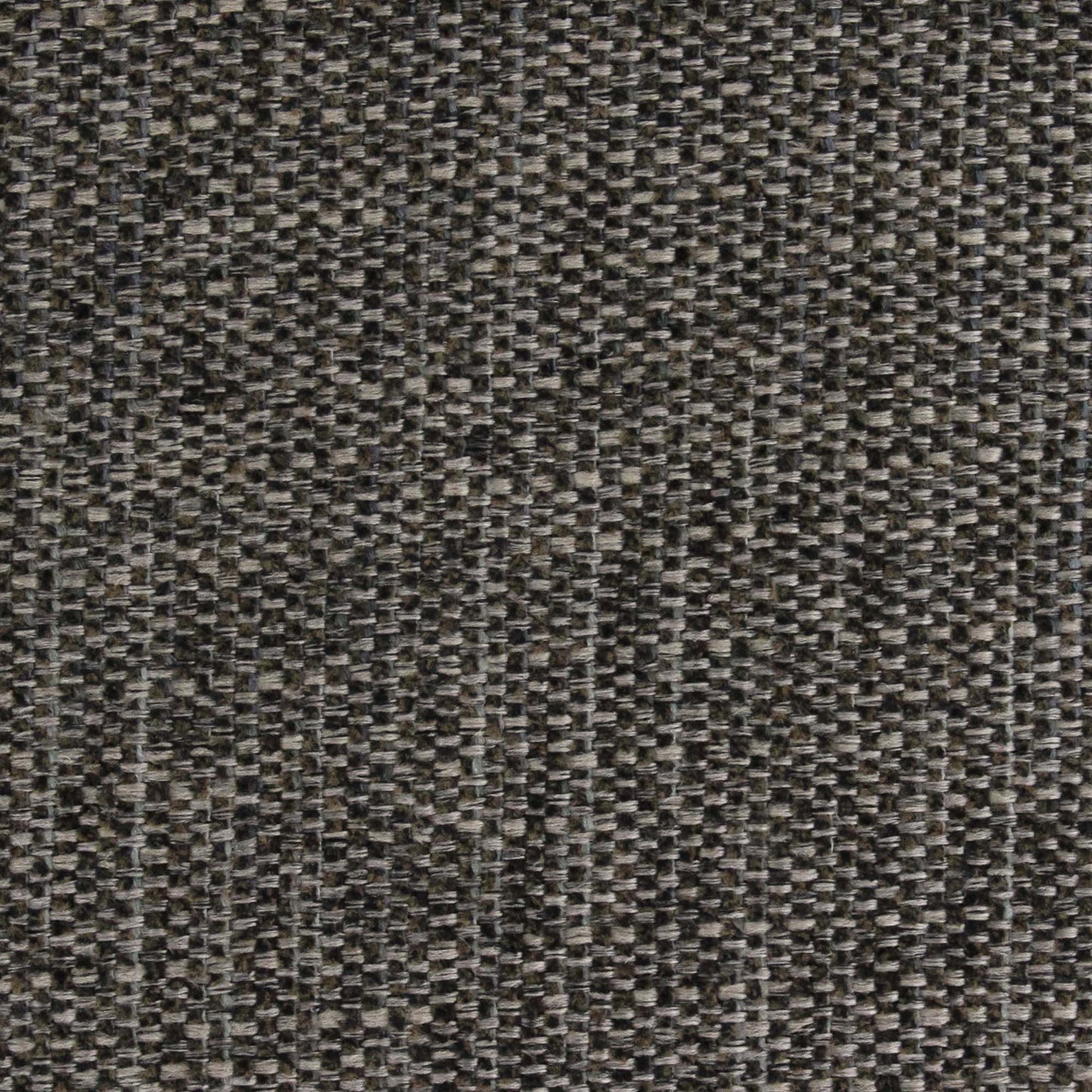 Rosaline Pfr (Ri) - Performance - Chocolate