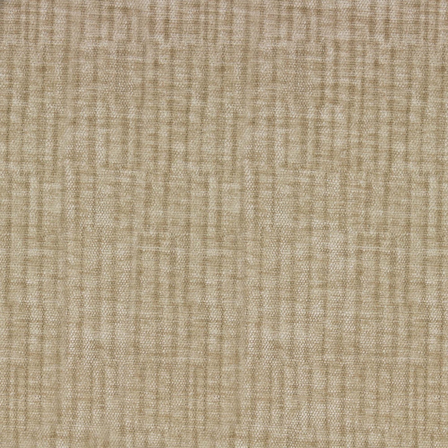 Vitae Pfr (Ri) - Performance - Camel