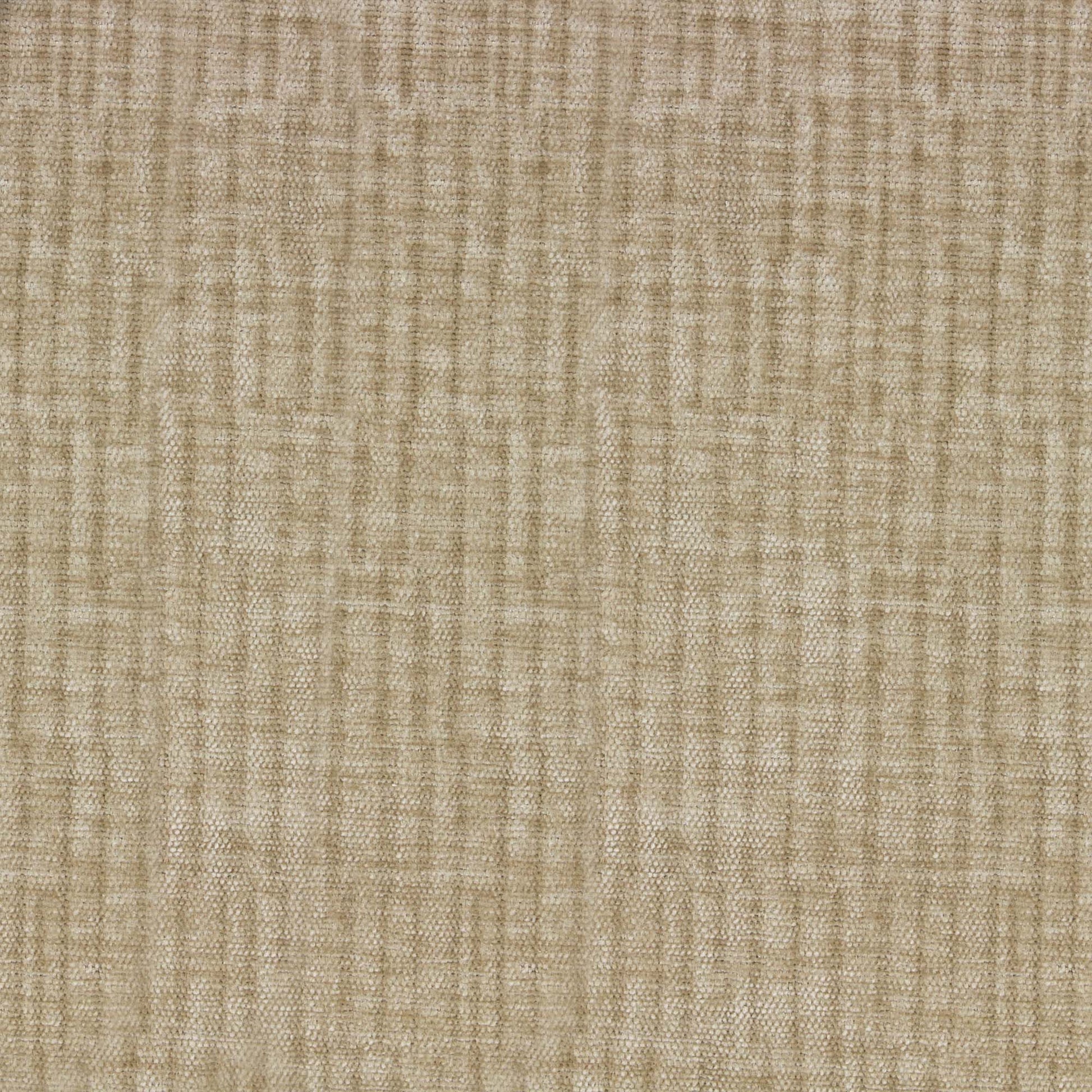 Vitae Pfr (Ri) - Performance - Camel