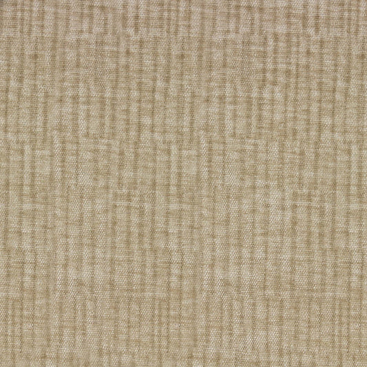 Vitae Pfr (Ri) - Performance - Camel