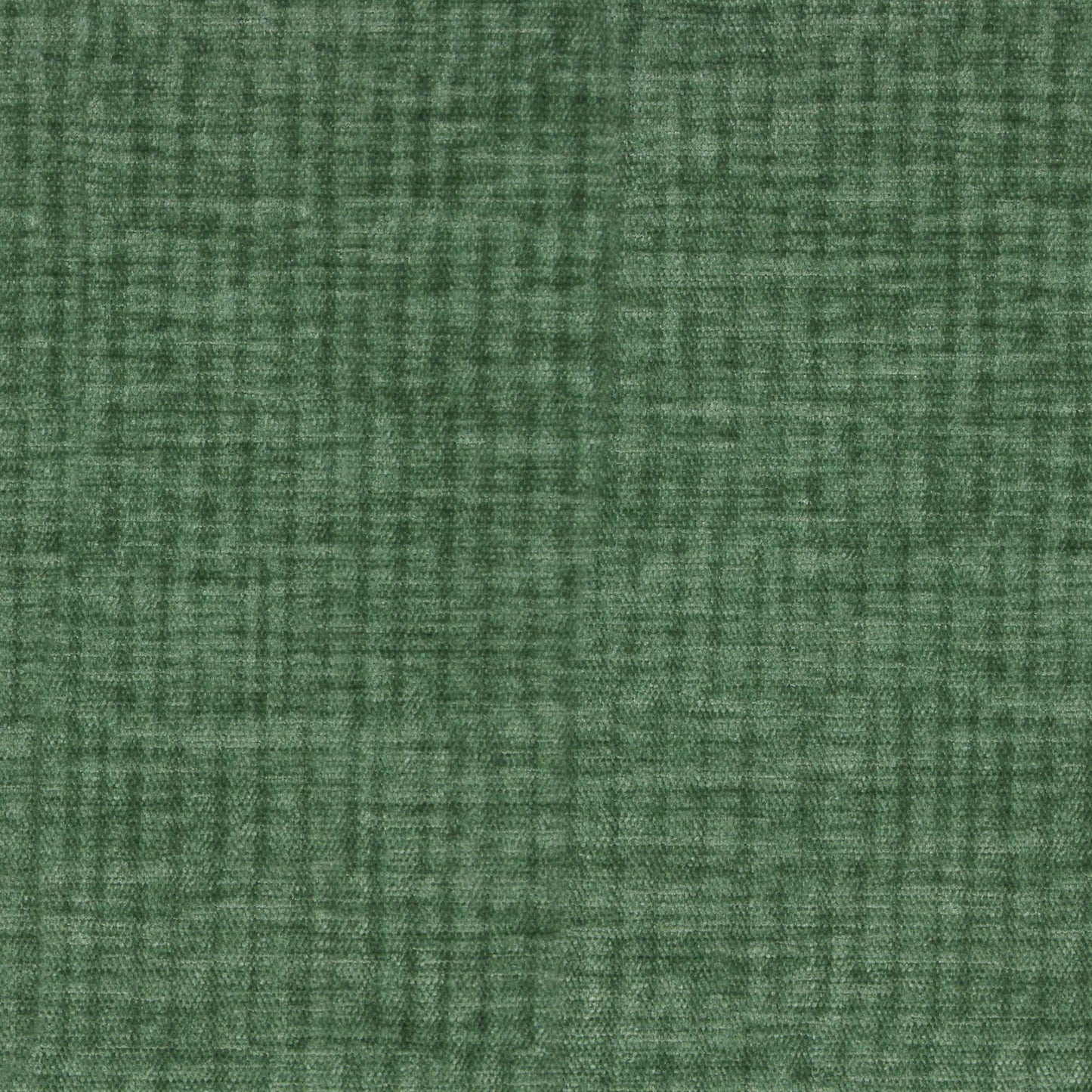 Vitae Pfr (Ri) - Performance - Evergreen