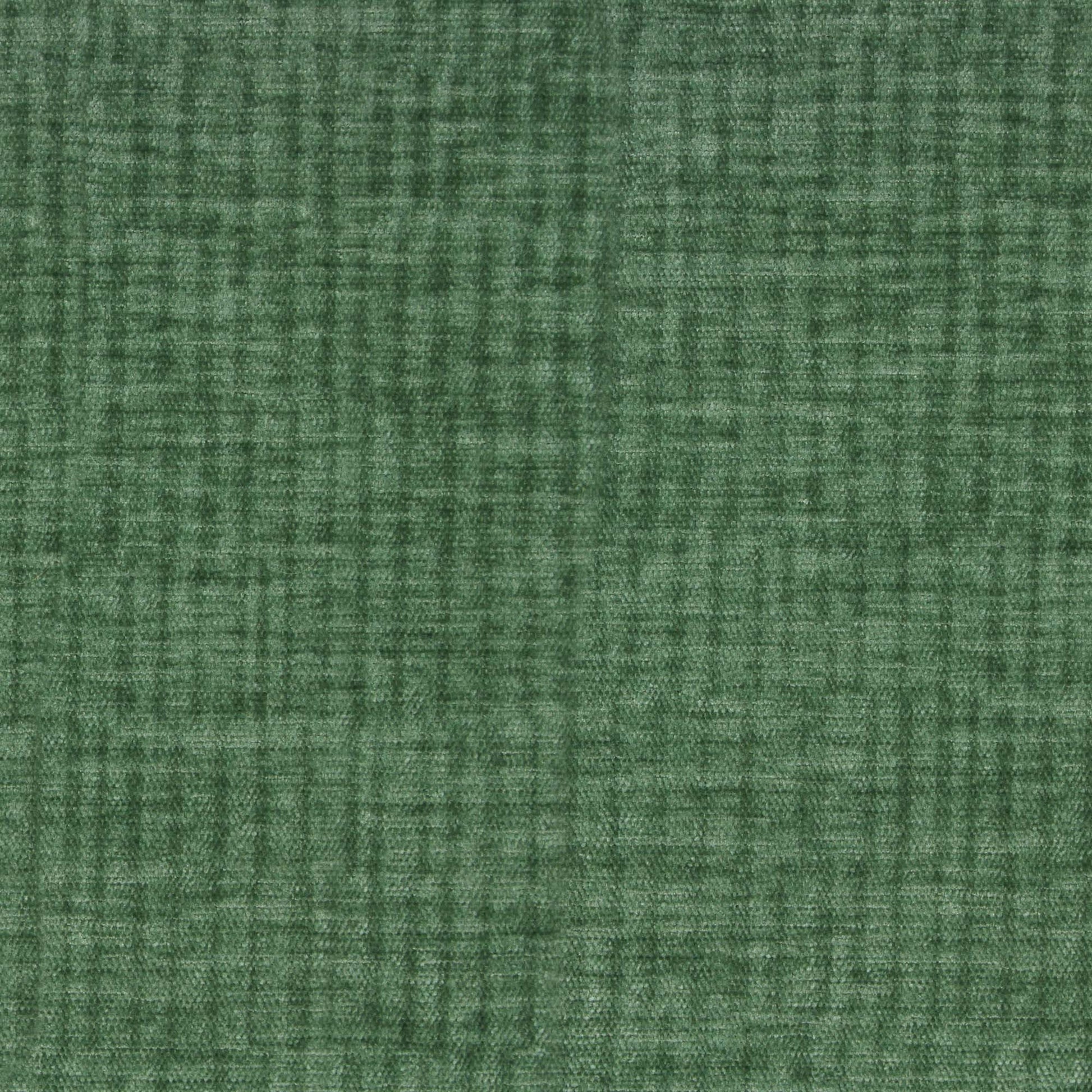 Vitae Pfr (Ri) - Performance - Evergreen