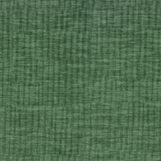 Vitae Pfr (Ri) - Performance - Evergreen