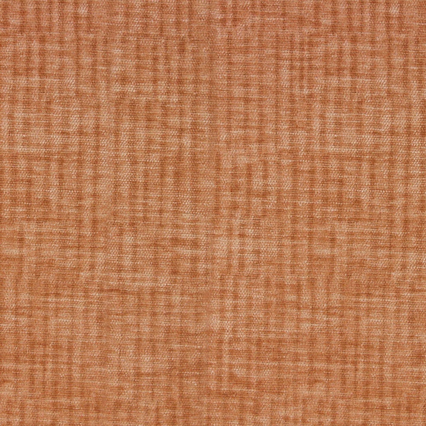 Vitae Pfr (Ri) - Performance - Heirloom