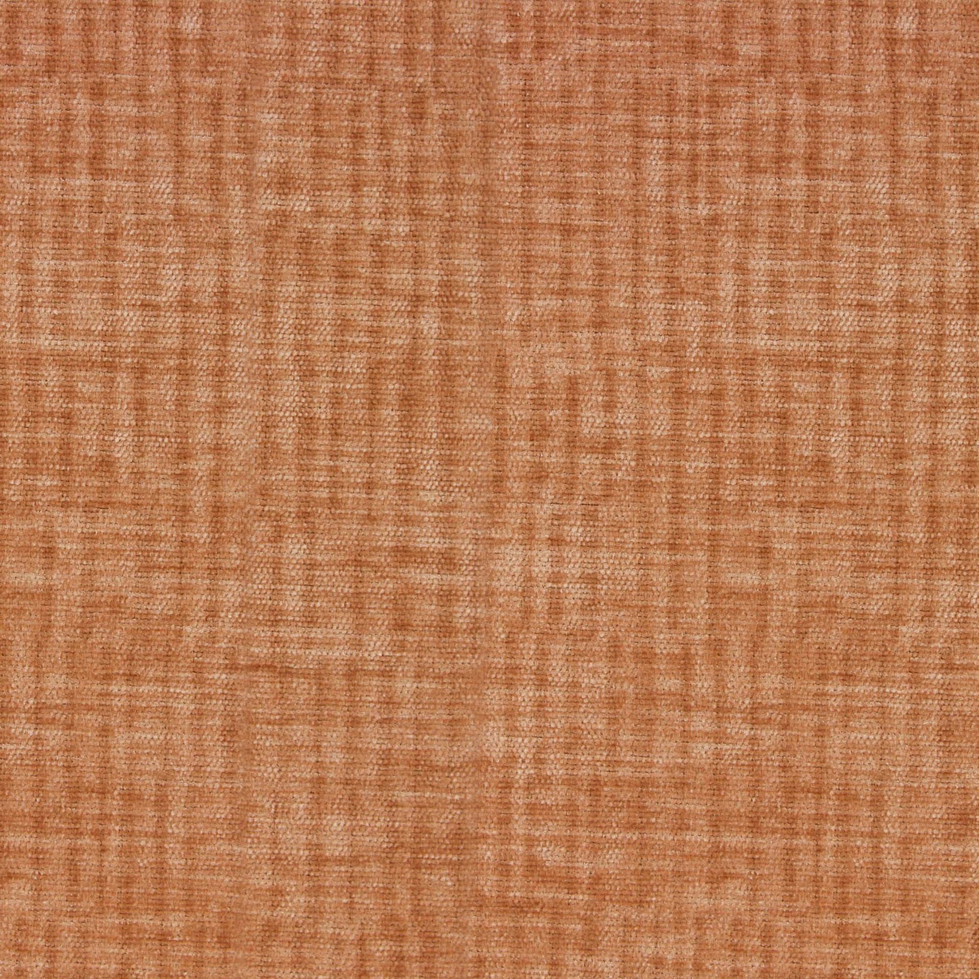 Vitae Pfr (Ri) - Performance - Heirloom