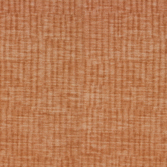 Vitae Pfr (Ri) - Performance - Heirloom