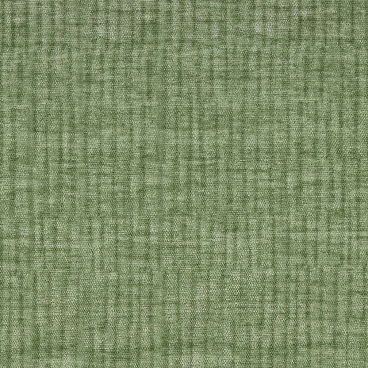Vitae Pfr (Ri) - Performance - Sage