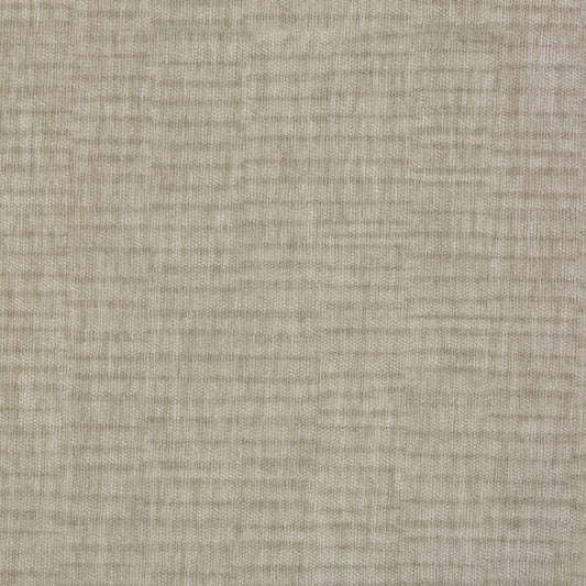Vitae Pfr (Ri) - Performance - Stone