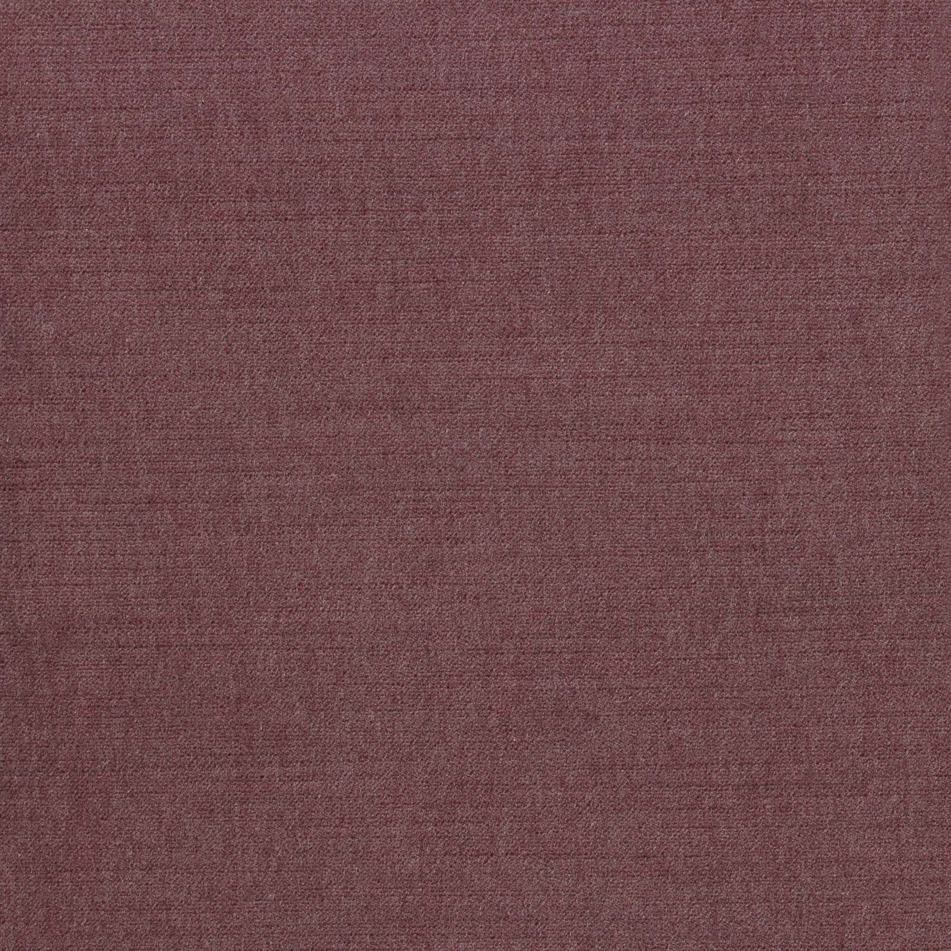 Ella Pfr (Ri) - Performance - Cerise
