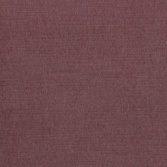 Ella Pfr (Ri) - Performance - Cerise