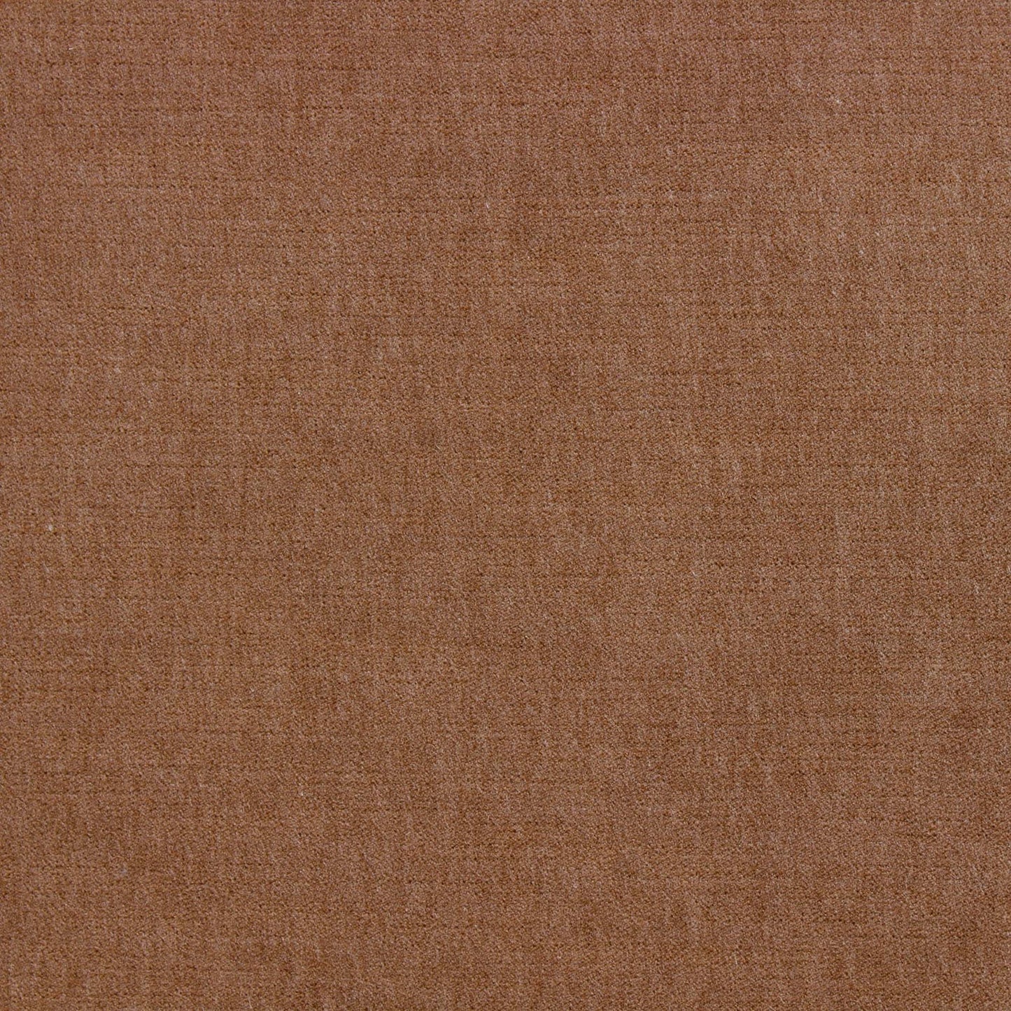 Ella Pfr (Ri) - Performance - Chai