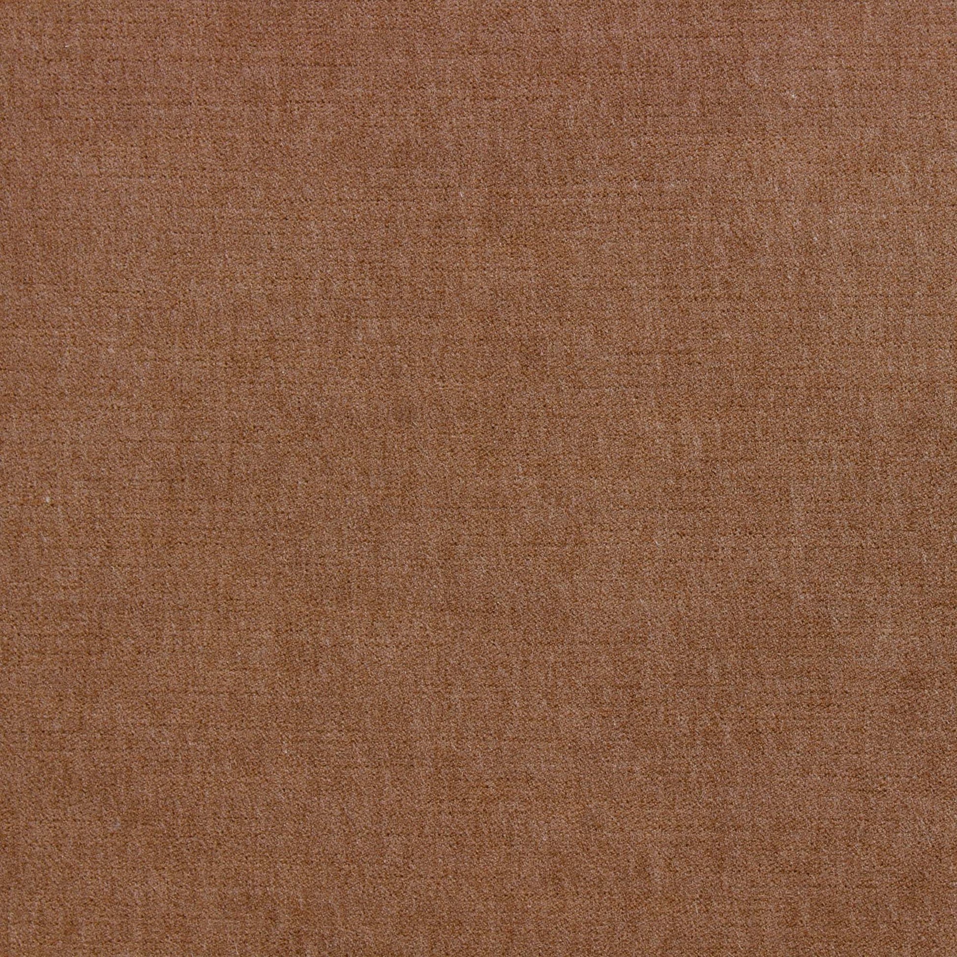 Ella Pfr (Ri) - Performance - Chai