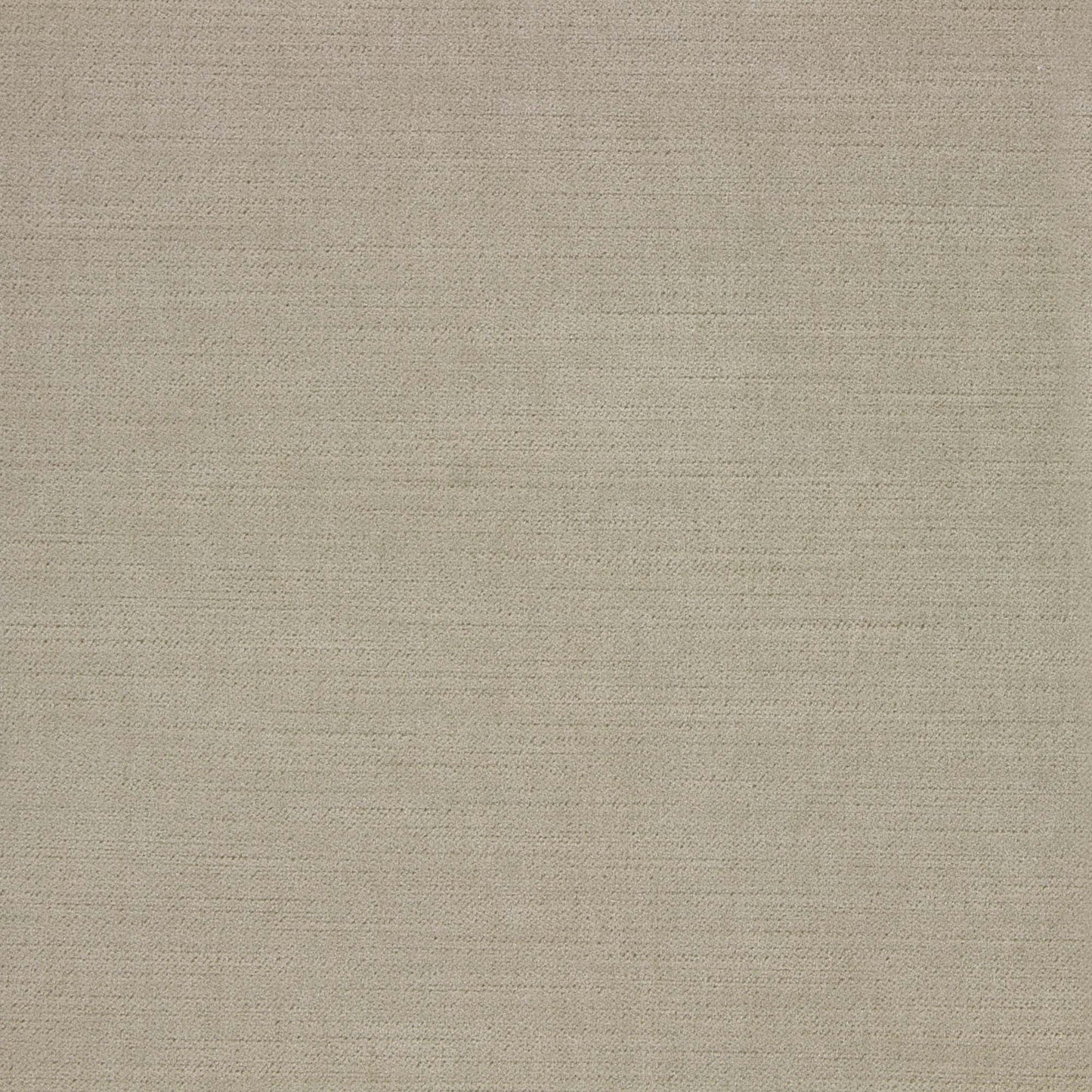 Ella Pfr (Ri) - Performance - Chamois