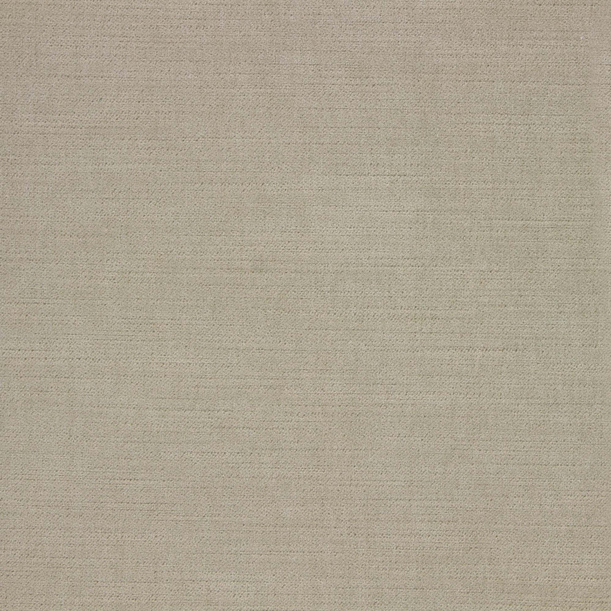 Ella Pfr (Ri) - Performance - Chamois