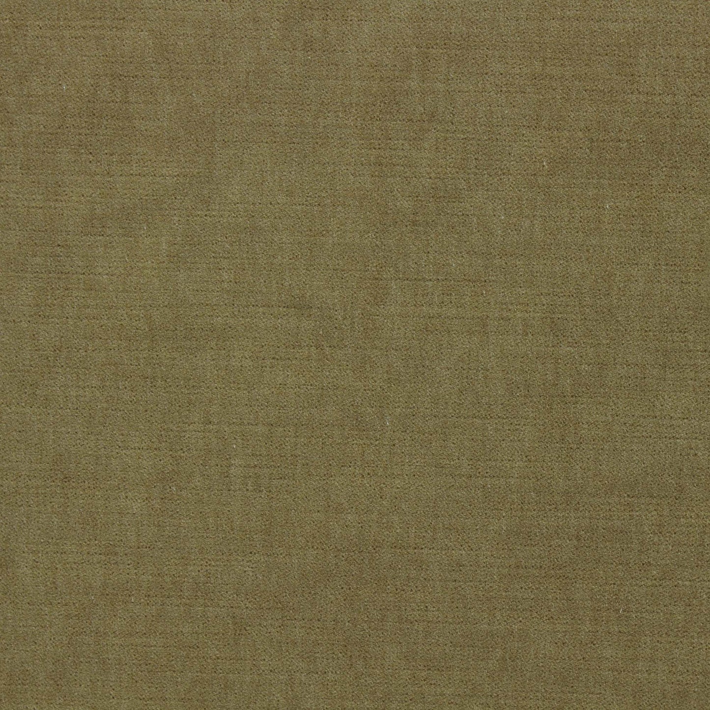 Ella Pfr (Ri) - Performance - Golden