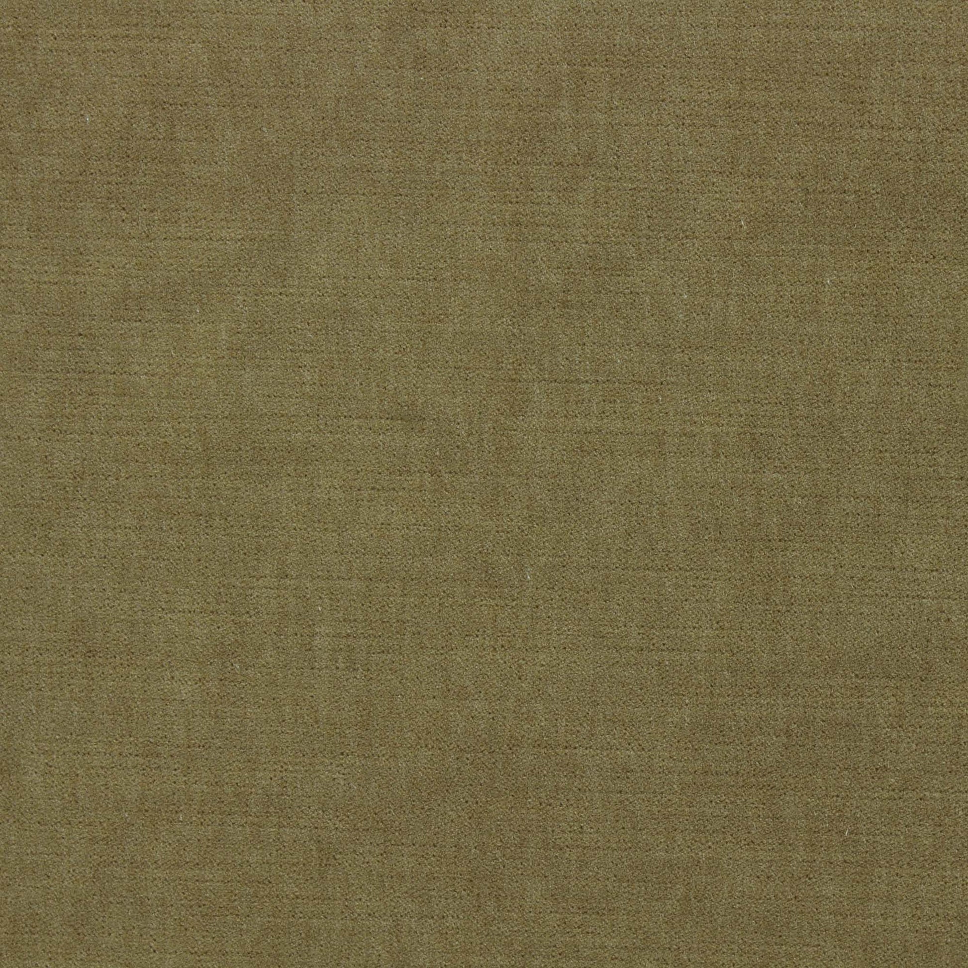 Ella Pfr (Ri) - Performance - Golden