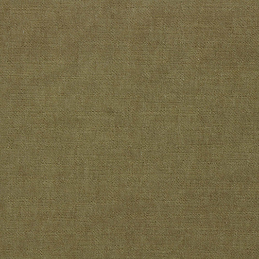 Ella Pfr (Ri) - Performance - Golden
