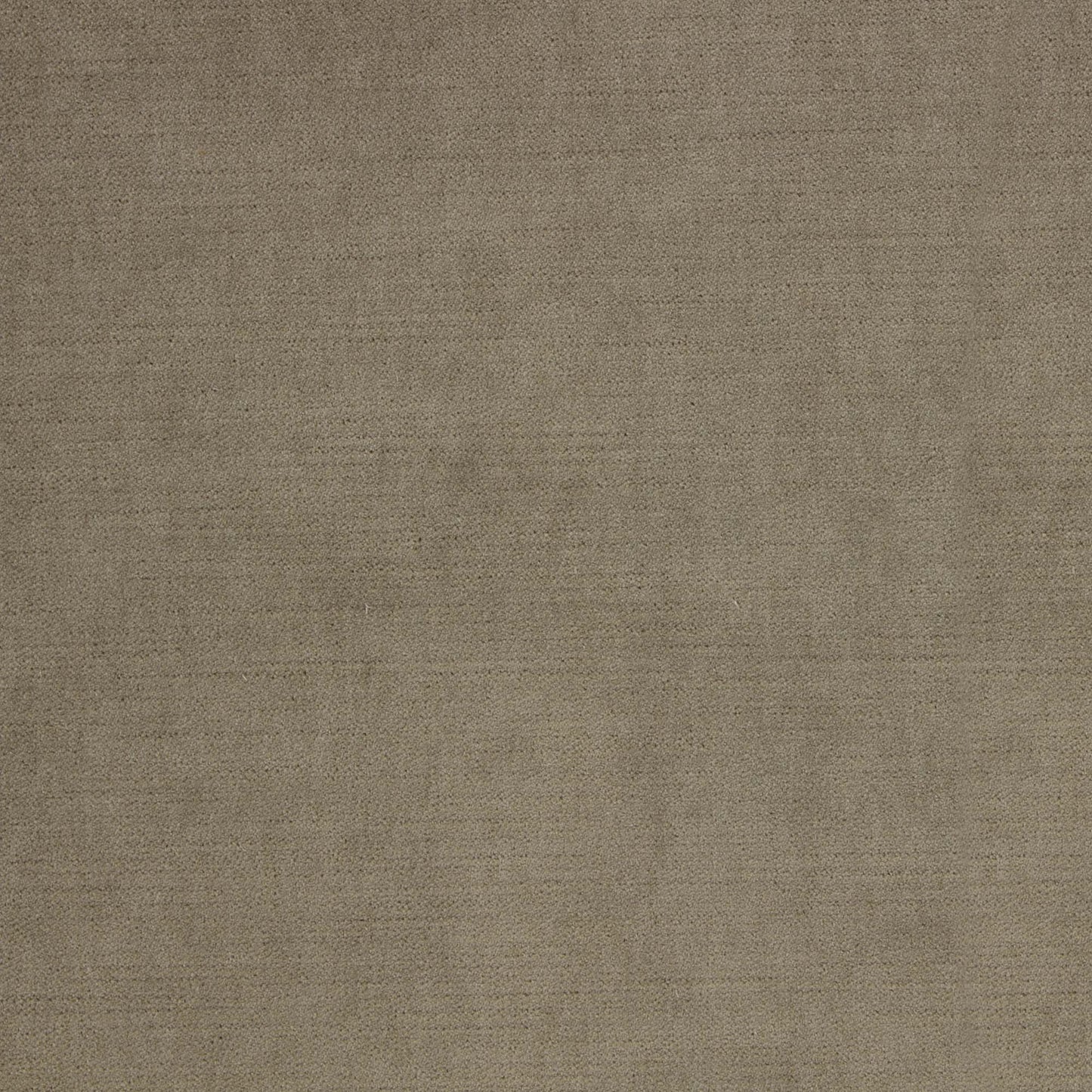 Ella Pfr (Ri) - Performance - Pecan