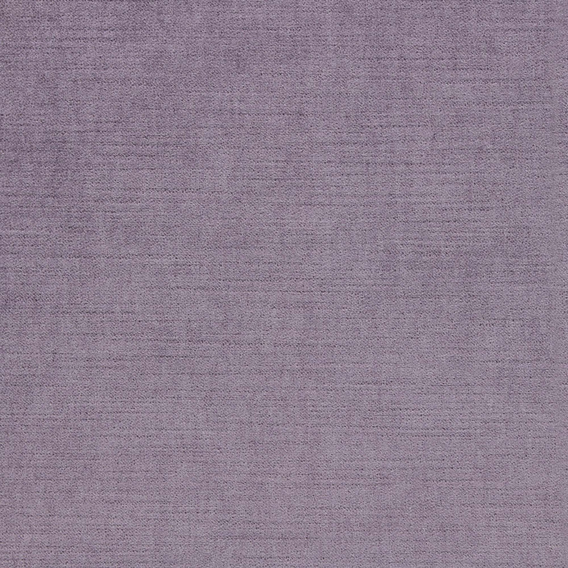 Ella Pfr (Ri) - Performance - Phlox