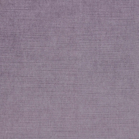 Ella Pfr (Ri) - Performance - Phlox