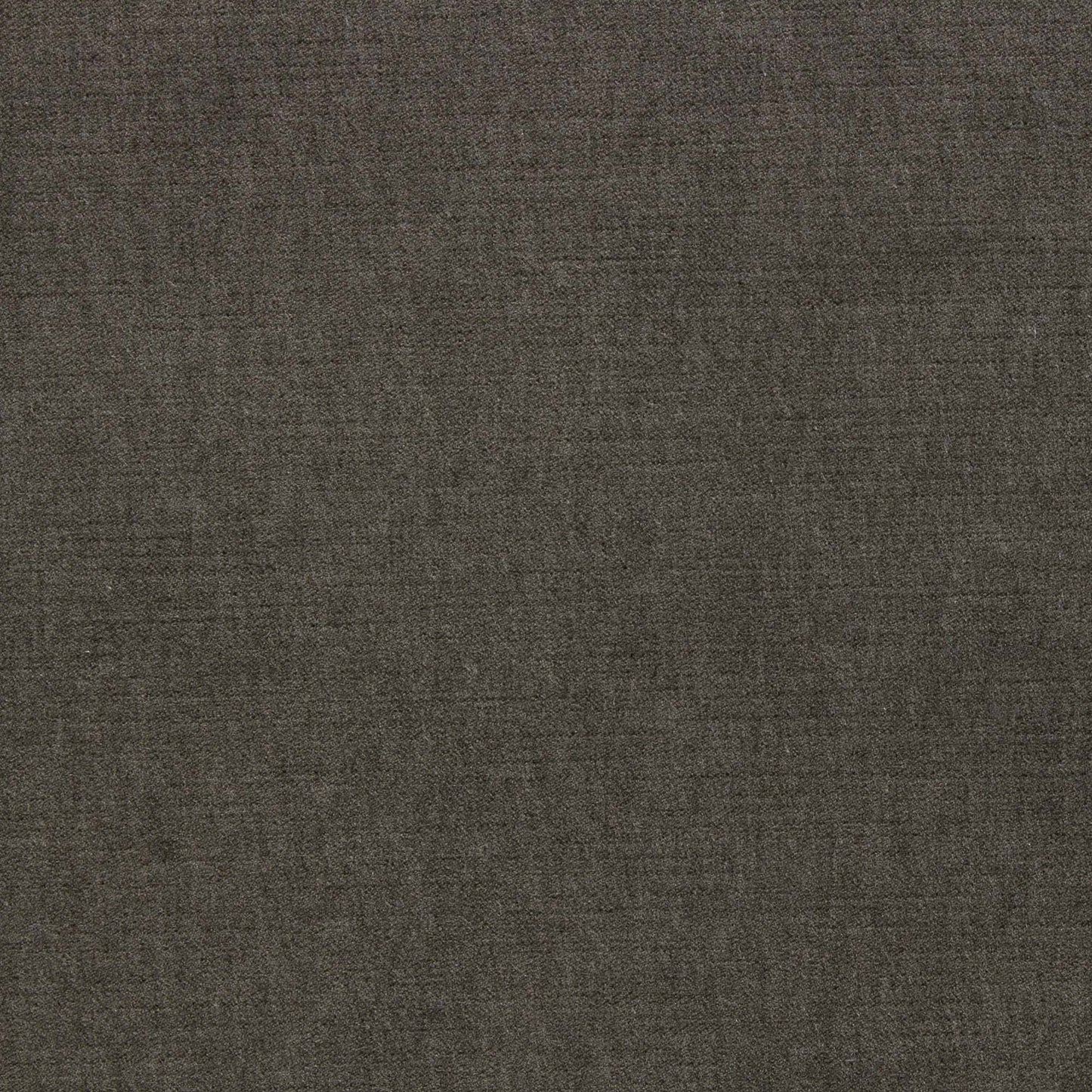 Ella Pfr (Ri) - Performance - Sable
