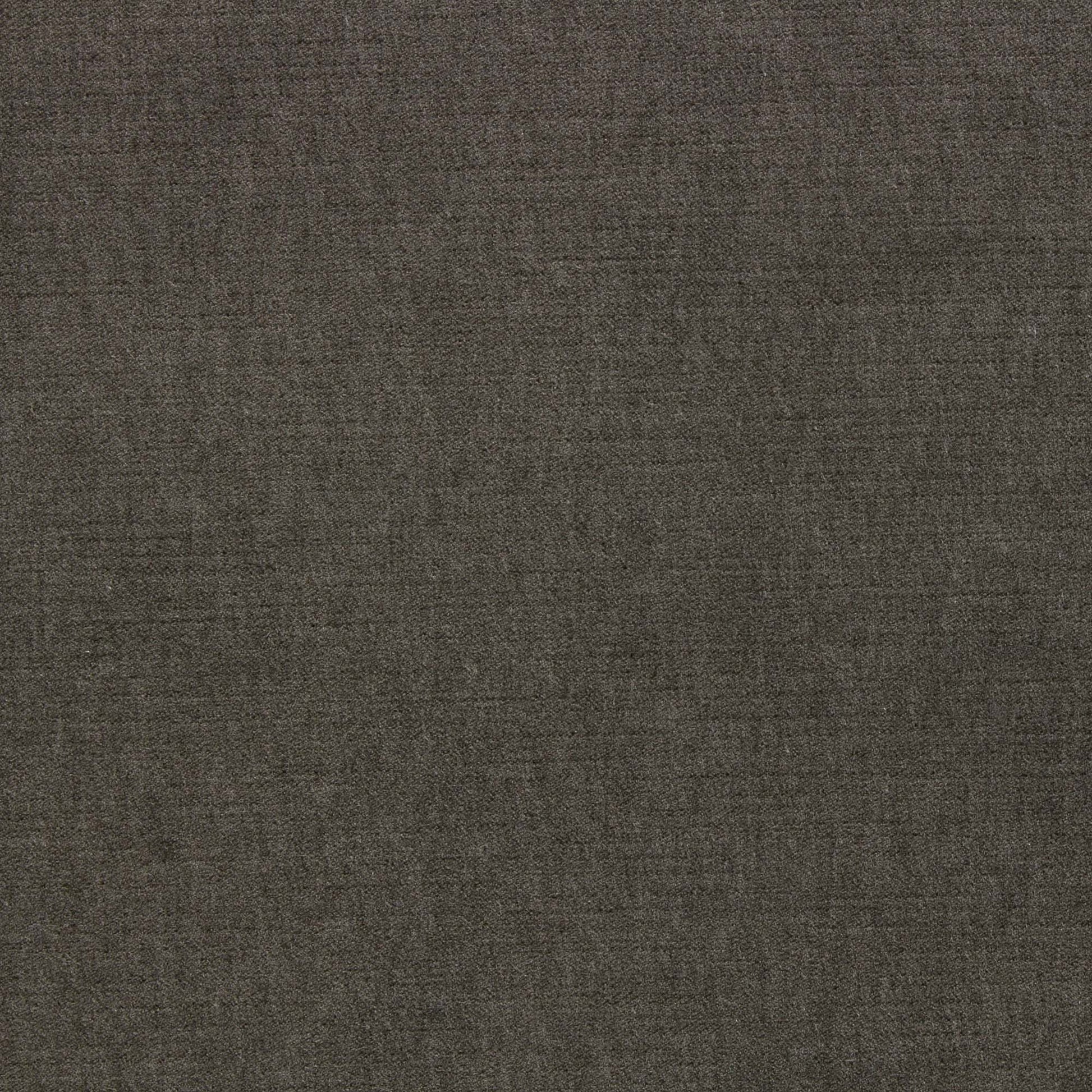 Ella Pfr (Ri) - Performance - Sable