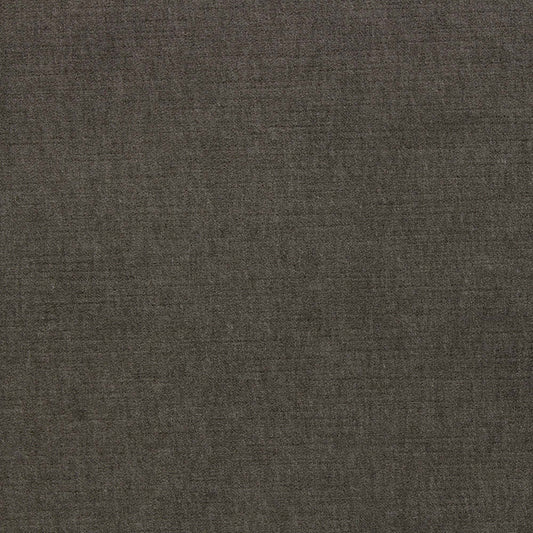 Ella Pfr (Ri) - Performance - Sable