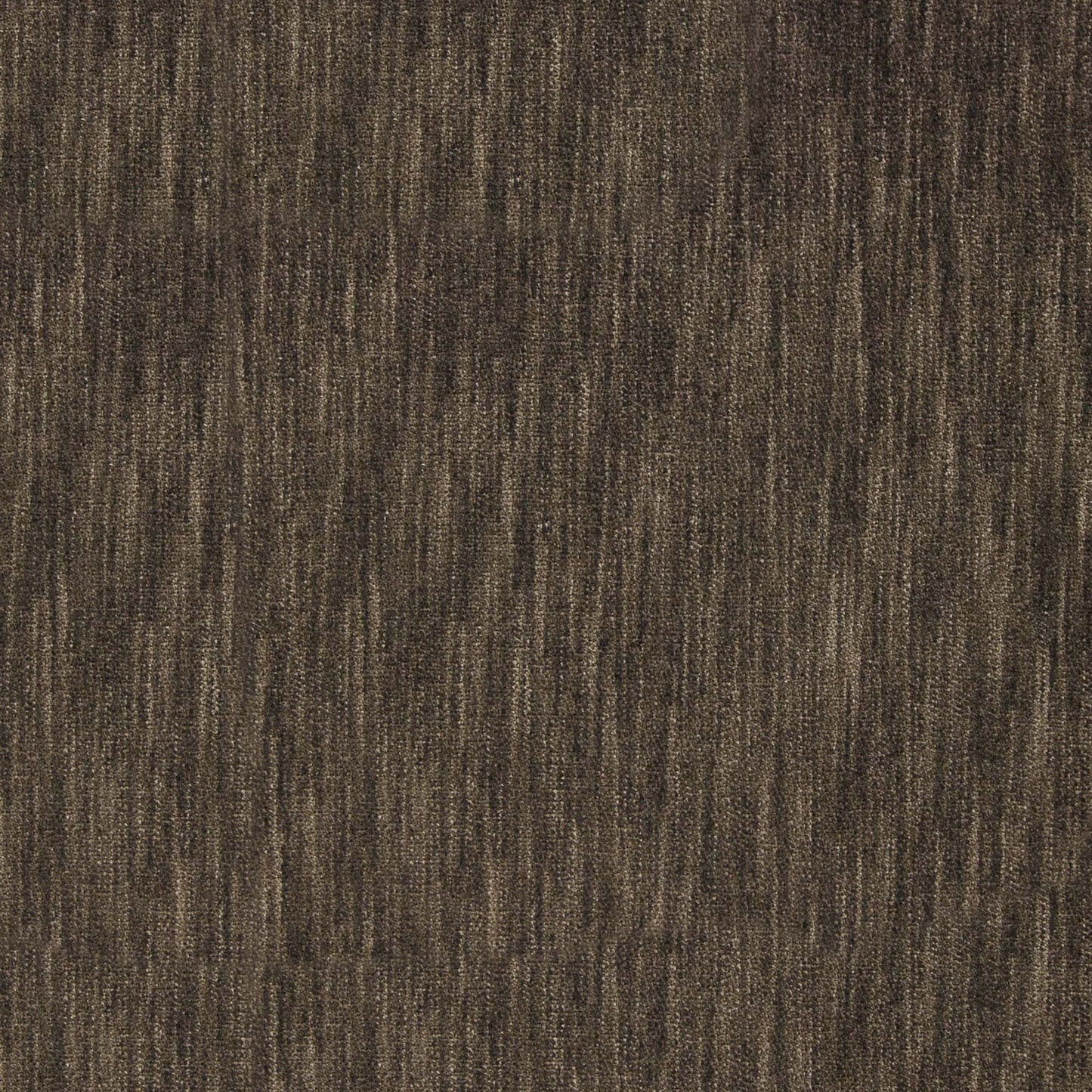 Marceline Pfr (Ri) - Performance - Carob