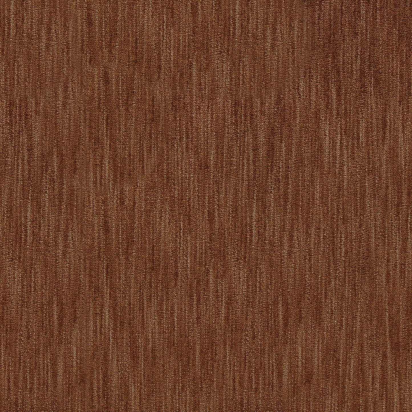 Marceline Pfr (Ri) - Performance - Cinnamon