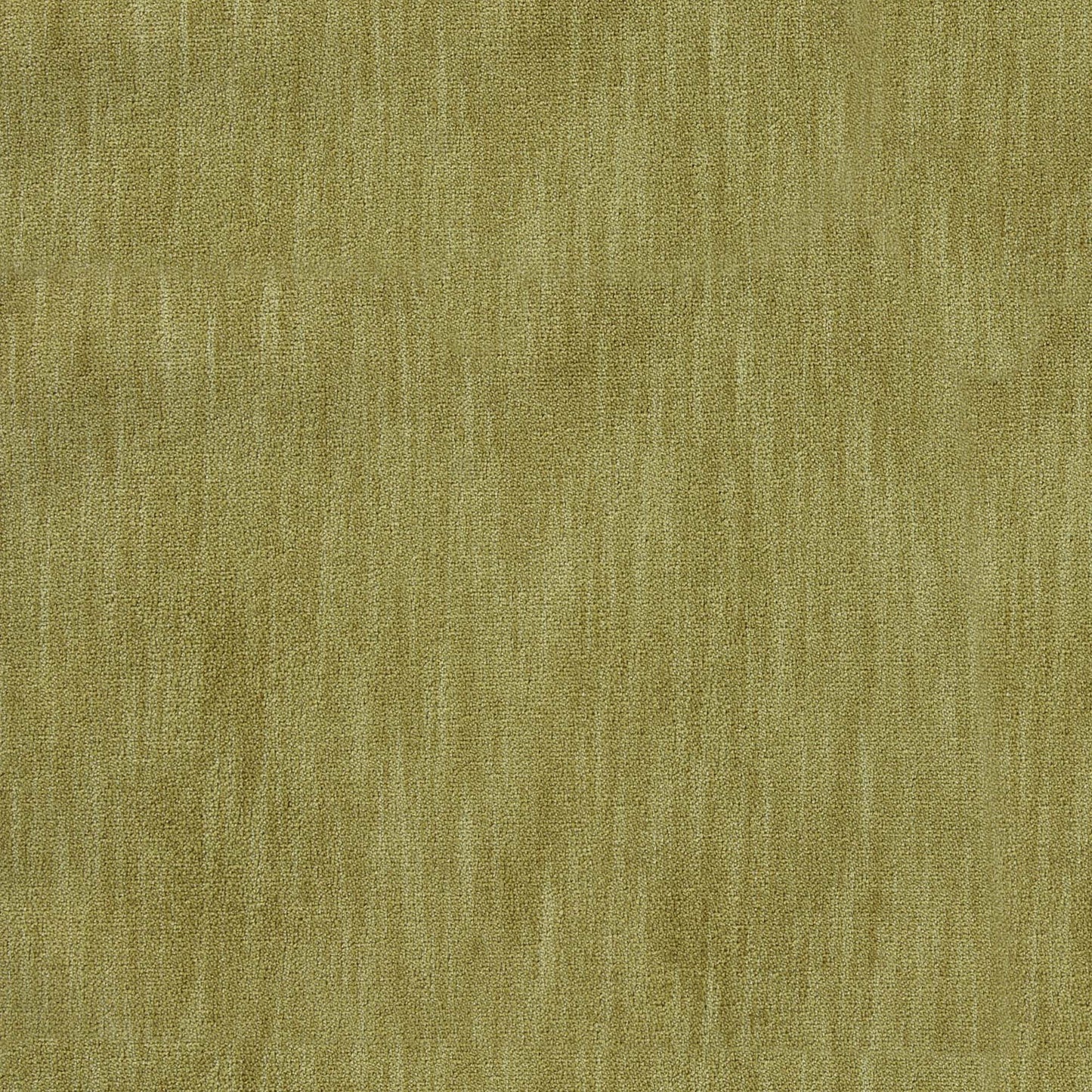 Marceline Pfr (Ri) - Performance - Citrine