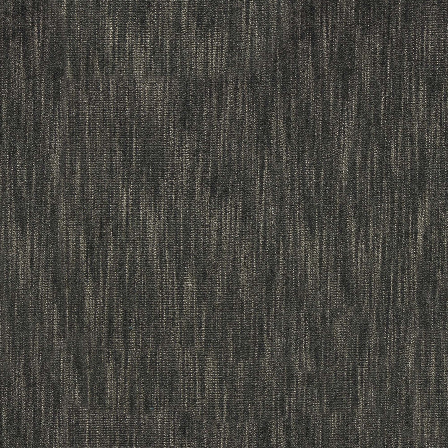 Marceline Pfr (Ri) - Performance - Graphite